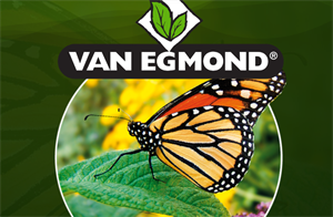 van egmond